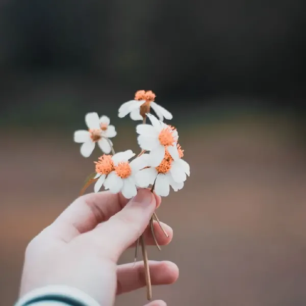 عکس دست دختر با گل برای پروفایل