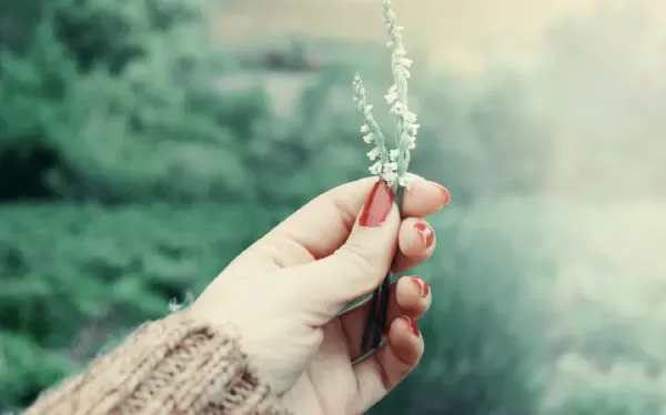 عکس دست دختر با گل برای پروفایل