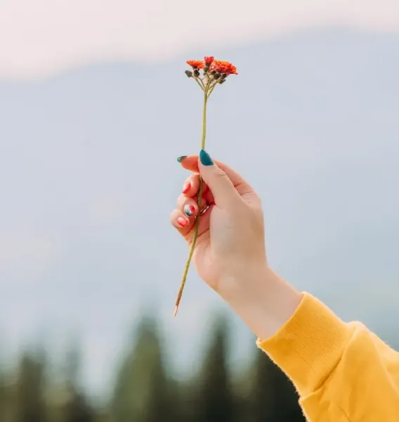 عکس دست دختر با گل برای پروفایل