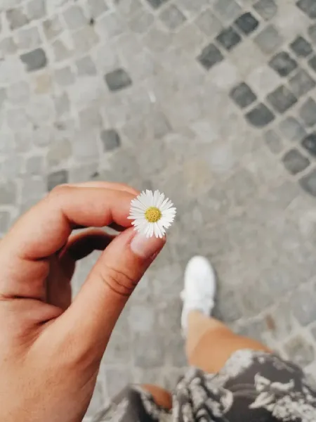 عکس دست دختر با گل برای پروفایل
