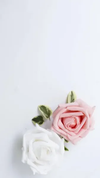 پس زمینه ساده رنگ سفید با کیفیت بالا