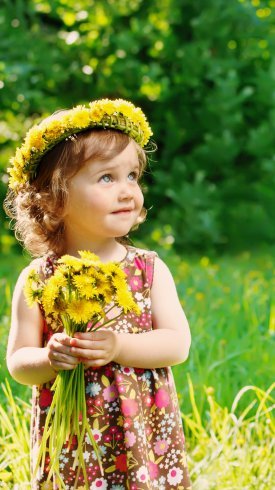  عکس پس زمینه گل و طبیعت