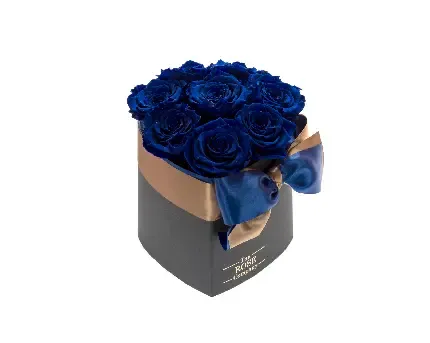  عکس گل رز آبی برای پروفایل