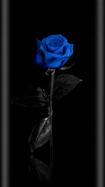  عکس گل آبی برای پروفایل