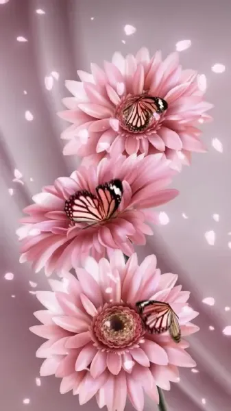  تصویر زمینه گل و پروانه برای گوشی