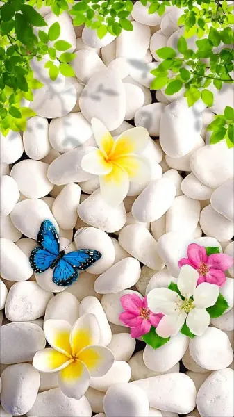  عکس گل و پروانه زیبا برای پروفایل دخترونه
