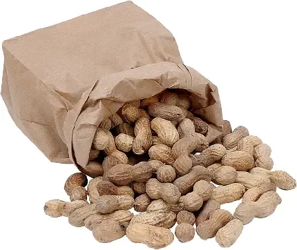  عکس مجسمه بودا برای پروفایل