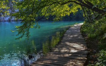  عکس رودخانه برای پروفایل