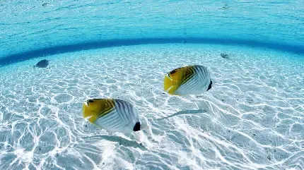  عکس آب در طبیعت