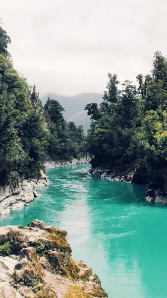  تصویر زمینه دریا و جنگل