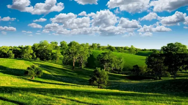  والپیپر طبیعت کوهستانی سرسبز