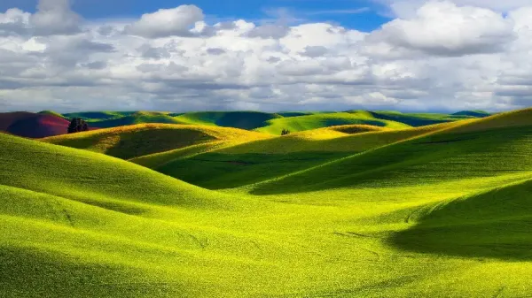  والپیپر طبیعت کوهستانی سرسبز