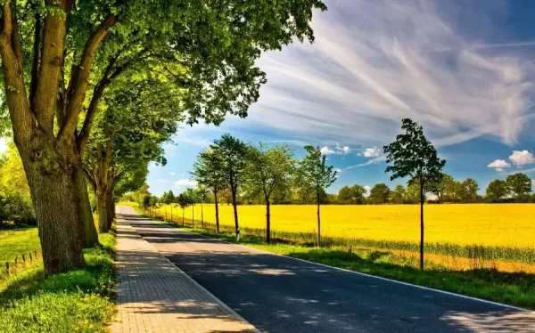  والپیپر طبیعت کوهستانی سرسبز