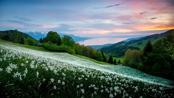 عکس طبیعت کوهستانی سرسبز برای گوشی