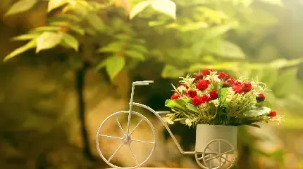  پروفایل دوچرخه سواری