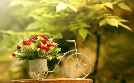  پروفایل دوچرخه سواری