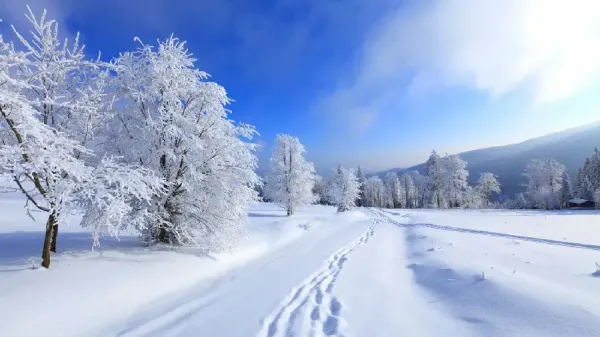  والپیپر زمستان 4k