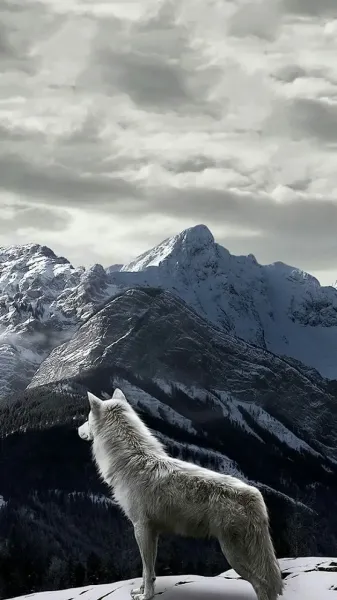  والپیپر زمستان 4k