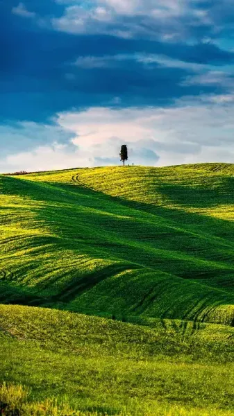  تصویر زمینه باکلاس برای گوشی های گران قیمت