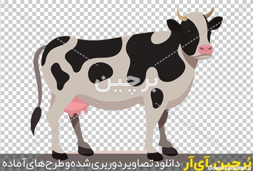 عکس گاو برای پروفایل