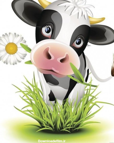 عکس گاو برای پروفایل