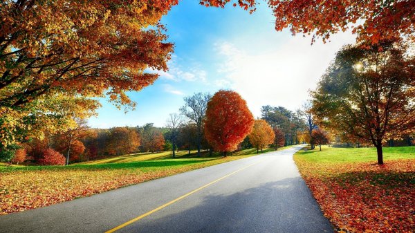  عکس پاییزی با کیفیت فول اچ دی