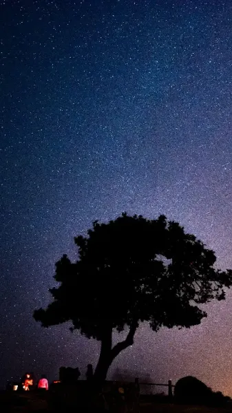 عکس شب پر ستاره برای پروفایل