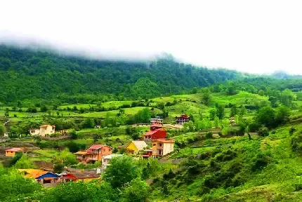  عکس مراتع سرسبز شمال ایران