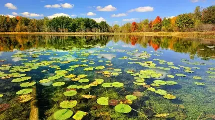  عکس مراتع سرسبز شمال ایران