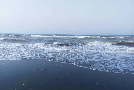  عکس مراتع سرسبز شمال ایران