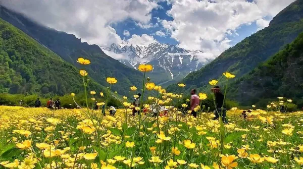  تصویر زمینه شمال ایران در زمستان