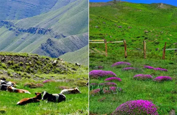  عکس از پیچ های زیبا جاده چالوس