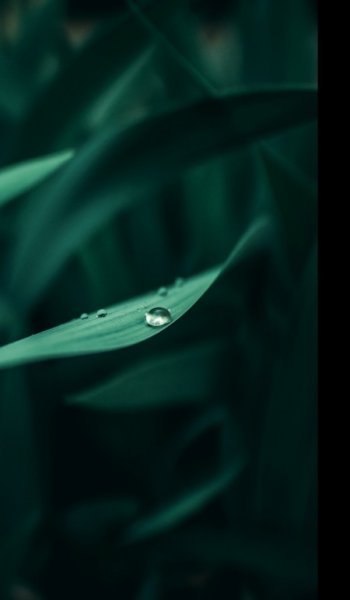  والپیپر سه بعدی سبز برای صفحه گوشی