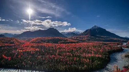  عکس تصویر زمینه مزارع برنج در کشور چین