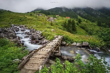  عکس تصویر زمینه مزارع برنج در کشور چین
