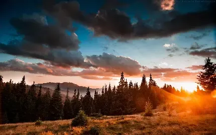  عکس تصویر زمینه مزارع برنج در کشور چین