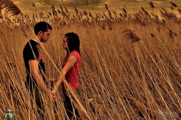  عکس گندم زار عاشقانه