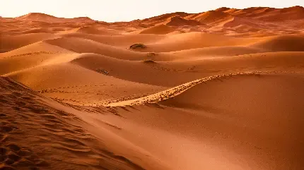  عکس ساحل کویری ایسلند برای زمینه لپ تاپ