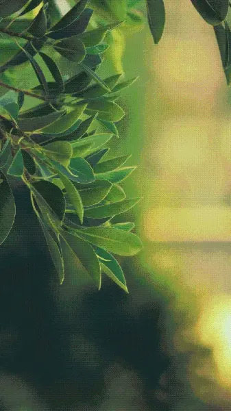  عکس بگ گراند موبایل خاص