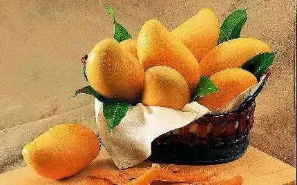  عکس زرد کیوت