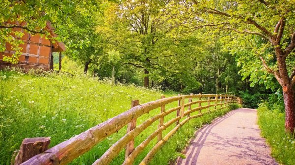  عکس باکیفیت از طبیعت برای تصویر زمینه