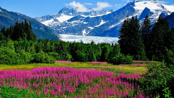  عکس باکیفیت از طبیعت برای تصویر زمینه