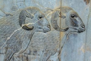  عکس تاریخی برای پروفایل