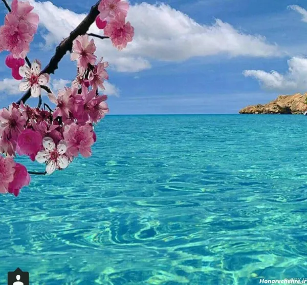  عکس دریا و گل برای پروفایل