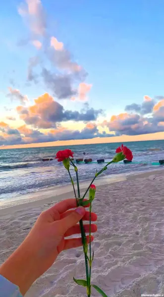  عکس دریا و گل برای پروفایل