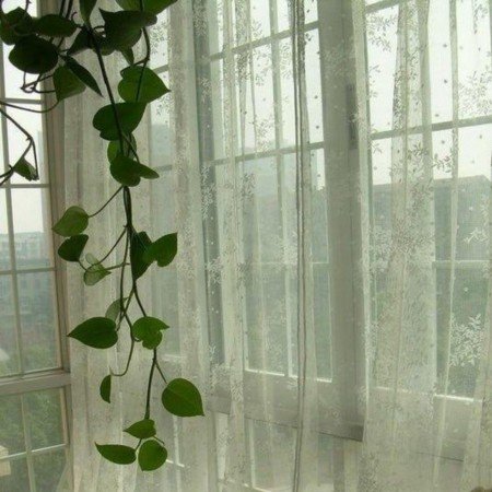  عکس کافه برای پروفایل