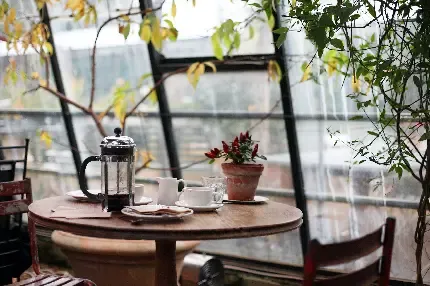  عکس کافه لاکچری برای پروفایل