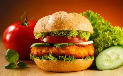  عکس فست فود خوشمزه