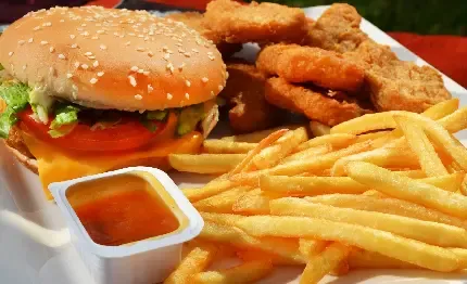  عکس فست فود خوشمزه