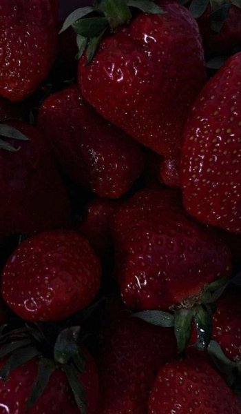  پروفایل قرمز دخترانه